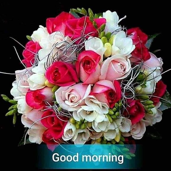 Meet your Posher, Ranjit - Picture 1 of 1